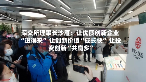 深交所理事长沙雁：让优质创新企业“进得来” 让创新价值“成长快” 让投资创新“共赢多	”-第2张图片